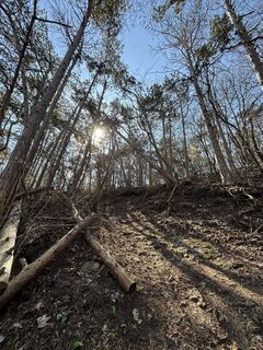 Foto de RS76 a lo largo del recorrido