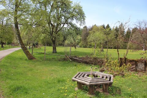 Auf dem Hohberg