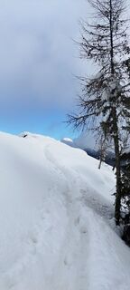 Photo de veronika bozic le long du parcours