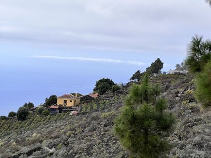 Photo de Karsten Beer le long du parcours