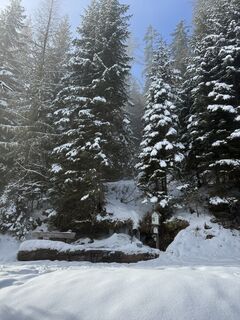 Zdjęcie z Franz hofner wzdłuż trasy