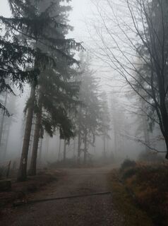Photo de Daniel Kremiec le long du parcours