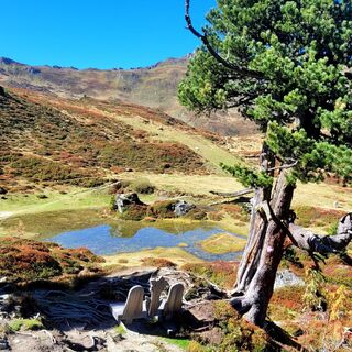 Foto de Brigitte Öttl a lo largo del recorrido