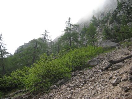 Richtung Walter Mory Klettersteig