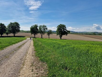 Foto von Hans Bogner entlang der Tour