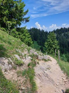 Foto von Tanja Trager entlang der Tour