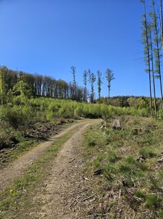 Foto von Volker Wagener entlang der Tour