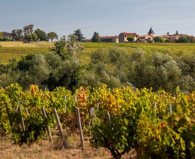 saint-amour-bellevue-village-paysage-etienne-ramousse-images-macon-sud-bourgogne-062