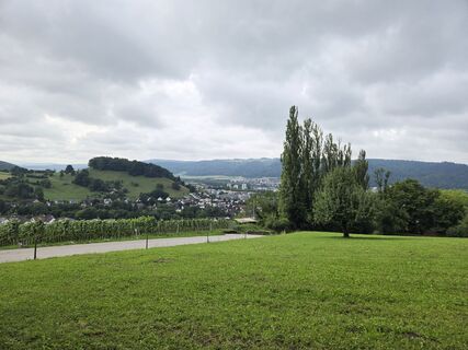 Foto de Sven a lo largo del recorrido