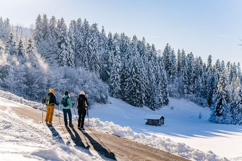 Scheffau_Winterwandern_Bäume_Hütte_Steinacker