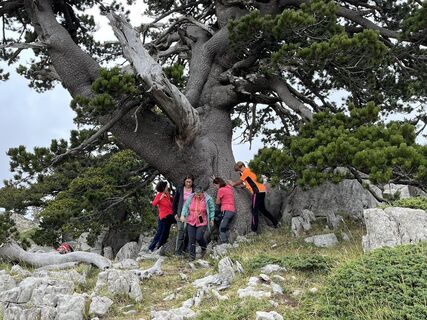 Photo from Mario camanni along the tour