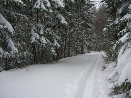 Skitour Unterberg