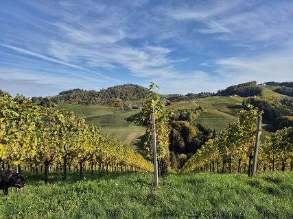 Foto från Manfred Kögler under resans gång
