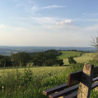 Ausblick Richtung Rinnetal