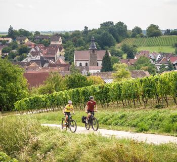 Radweg Deutsche Weinstraße bei Pleisweiler-Oberhofen