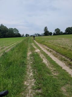 Fotografia z Franz Bauer 9 na trase