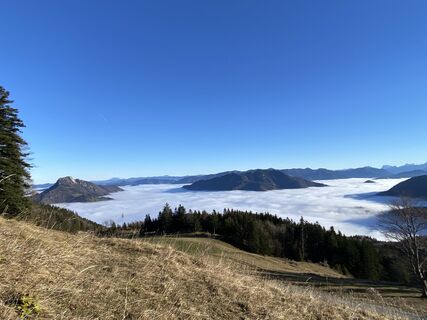 Zdjęcie z Johann Schörkhuber wzdłuż trasy