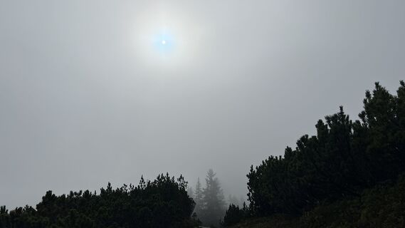 Photo de Alexander Salem le long du parcours