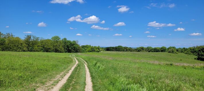 Foto de Nicky a lo largo del recorrido