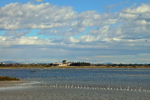 Rando des Salines0002 ©CDRP34