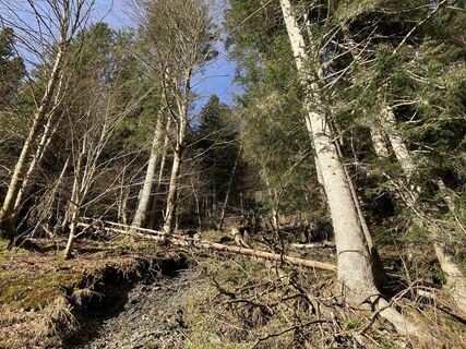 Photo de Paul Dollinger le long du parcours