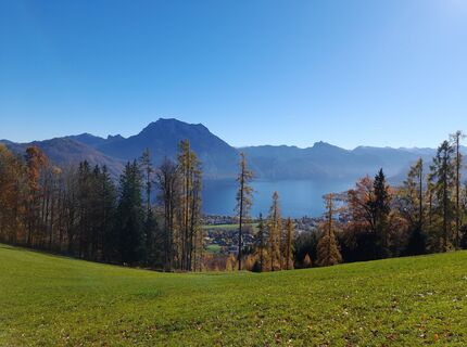 Foto von Monika Binder entlang der Tour