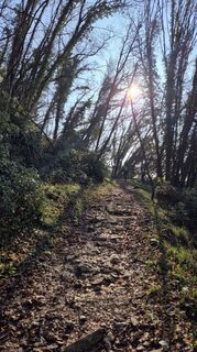 Photo de Fabrizio Plesnizer le long du parcours