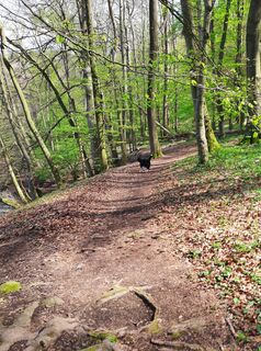 Foto von Marco Sandfort-Wessels entlang der Tour