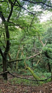 Zdjęcie z KohalmiK wzdłuż trasy