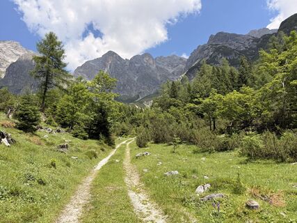 Fotografia z Natur_erleben_dg na trase