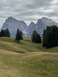 Fotografie de la DonOmarion de-a lungul turului
