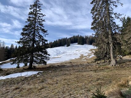 Fotografia z Werner Föger na trase