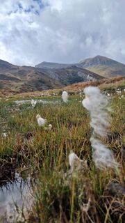 Zdjęcie z Daniela Hackl wzdłuż trasy