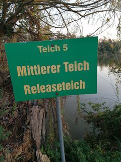 Foto von Dragoljub Ilic entlang der Tour