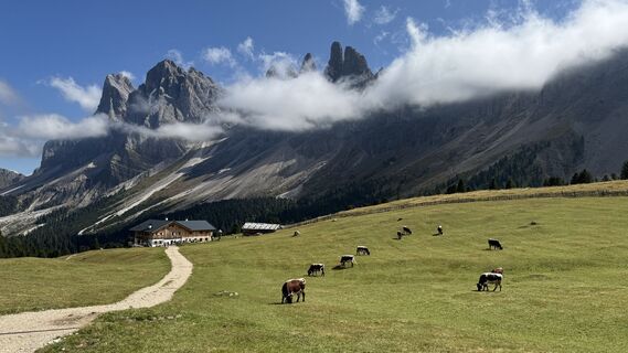 Fotografie de la Sebastiaan Laney de-a lungul turului