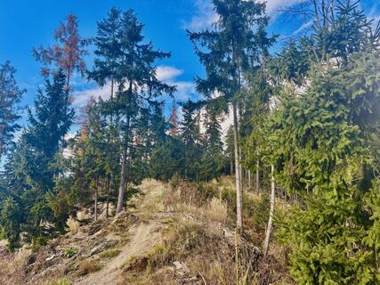 Fotografija s spletne strani Heinrich Slesak na poti