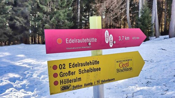 Einstieg Wanderweg über die Wiese