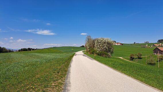 Fotografia z Roland Meitz na trase