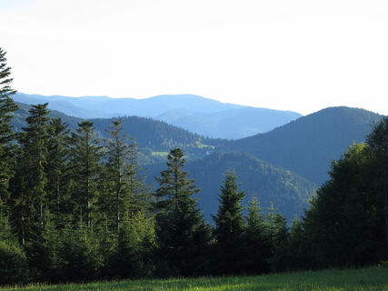 Blick vom Zollhaus bei Aichhalden