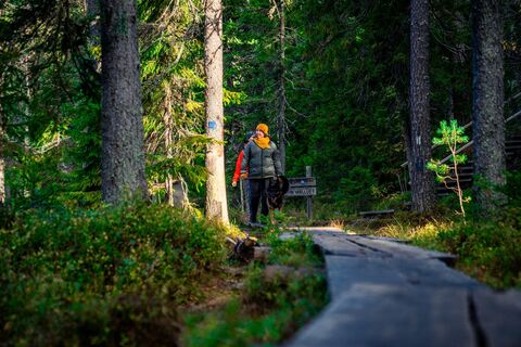 Wanderer in Vuokatti, Vuokatti