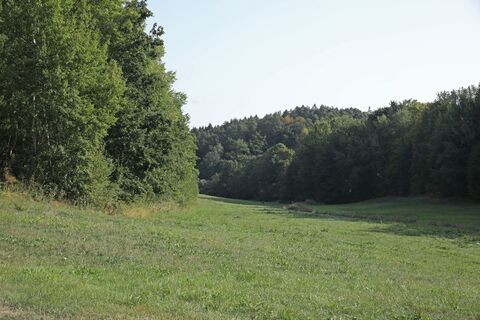 Wiesenlandschaft