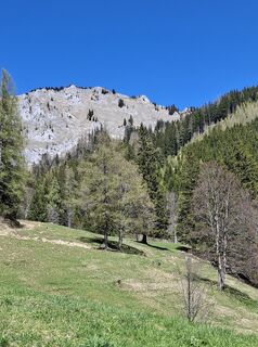 Photo de angelika kaiser 2 le long du parcours