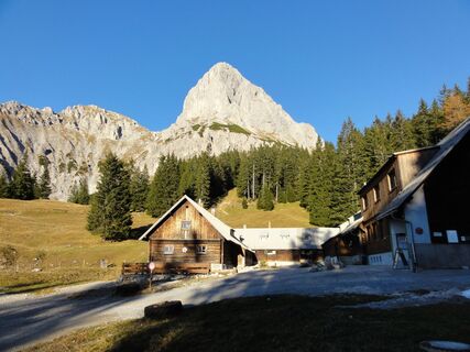Bild 0