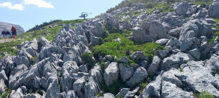 Foto von Riedl Susanne entlang der Tour