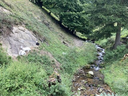 Foto von Licki entlang der Tour