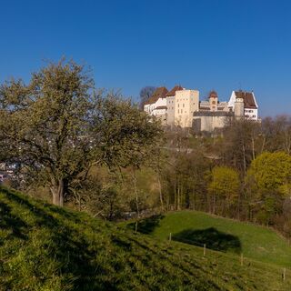 Schloss Lenzburg