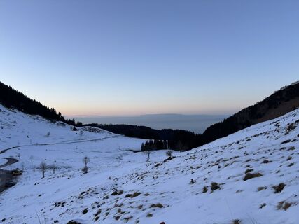 Fotografija s spletne strani Thirawat Dellemann-Itchara na poti