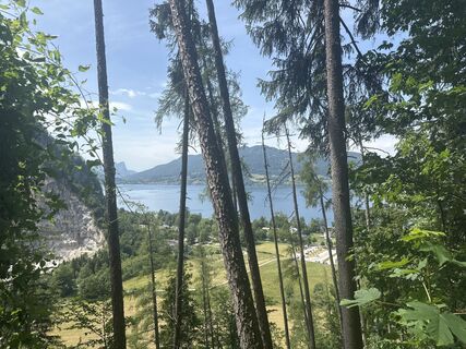 Foto von Ali Wafaii entlang der Tour
