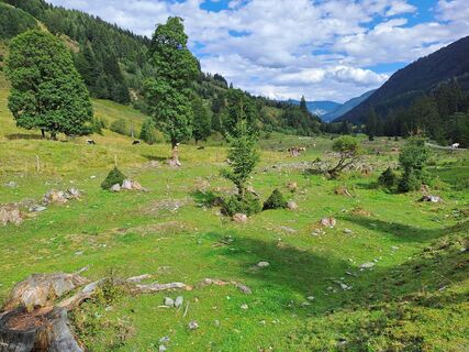 Foto von Wanderbursche66 entlang der Tour