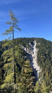 Photo de Alexander Salem le long du parcours